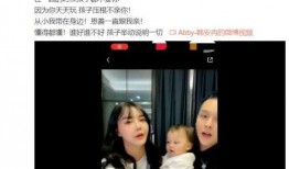 向二姐前夫爆料视频大全,真相与争议交织